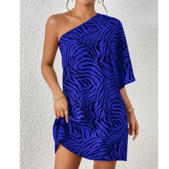 Privé Women's Zebra Print Loose Batwing Sleeve A-Line Dress - Picture 1 of 5